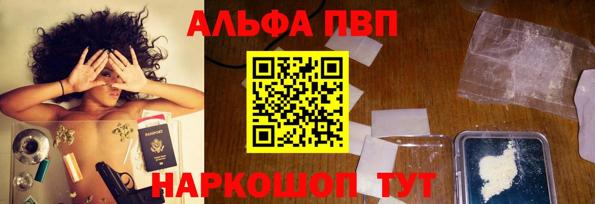 Alfa_PVP СК Луга