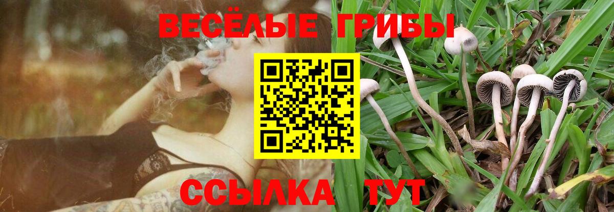 Галлюциногенные грибы MAGIC MUSHROOMS Луга